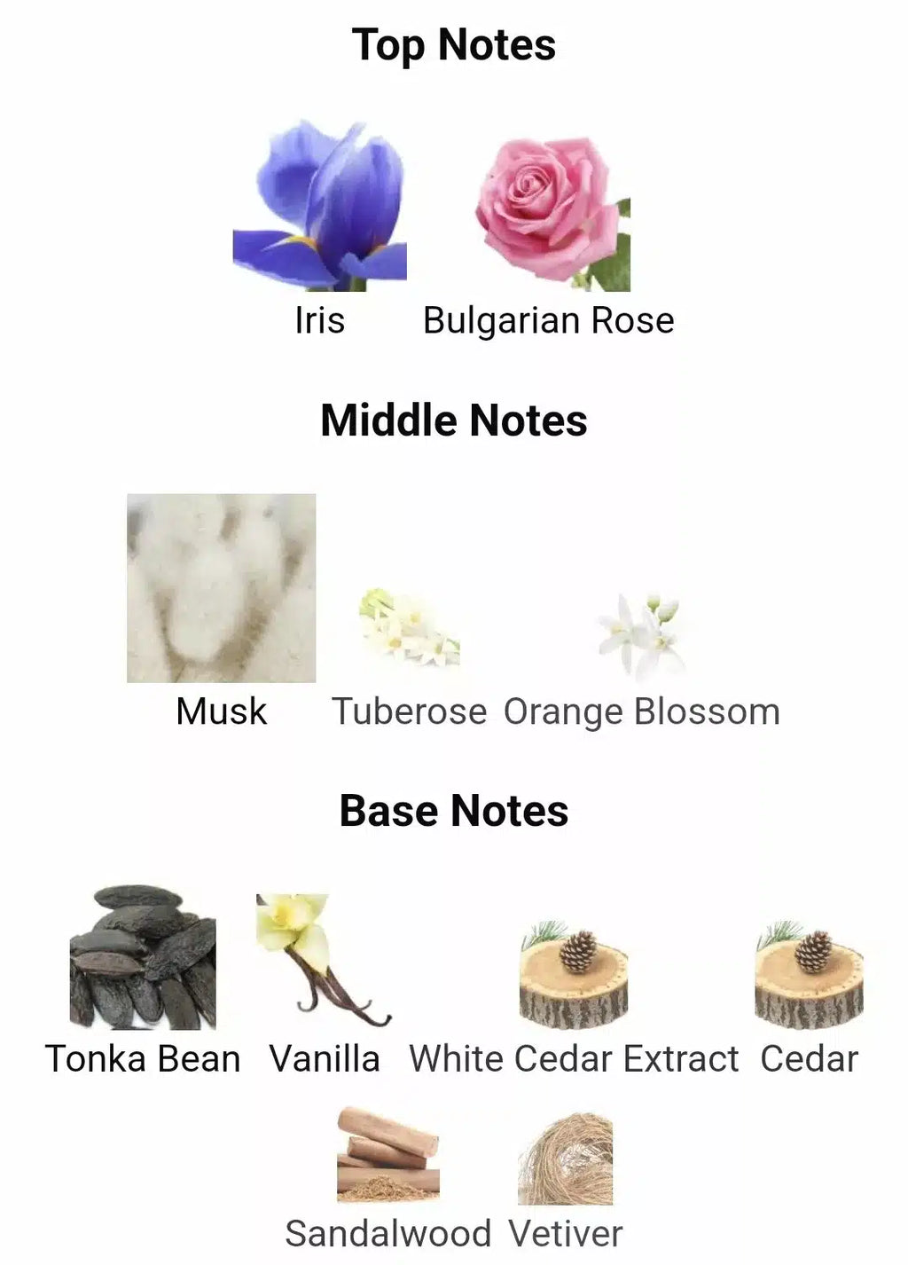 Inspired By Narciso Rouge image 2