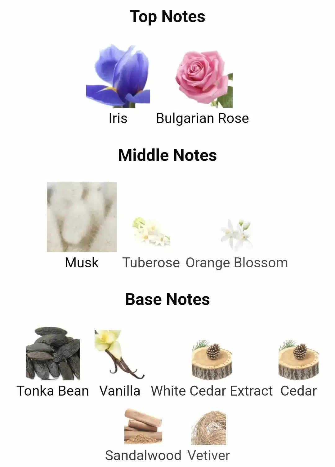 Inspired By Narciso Rouge image 2