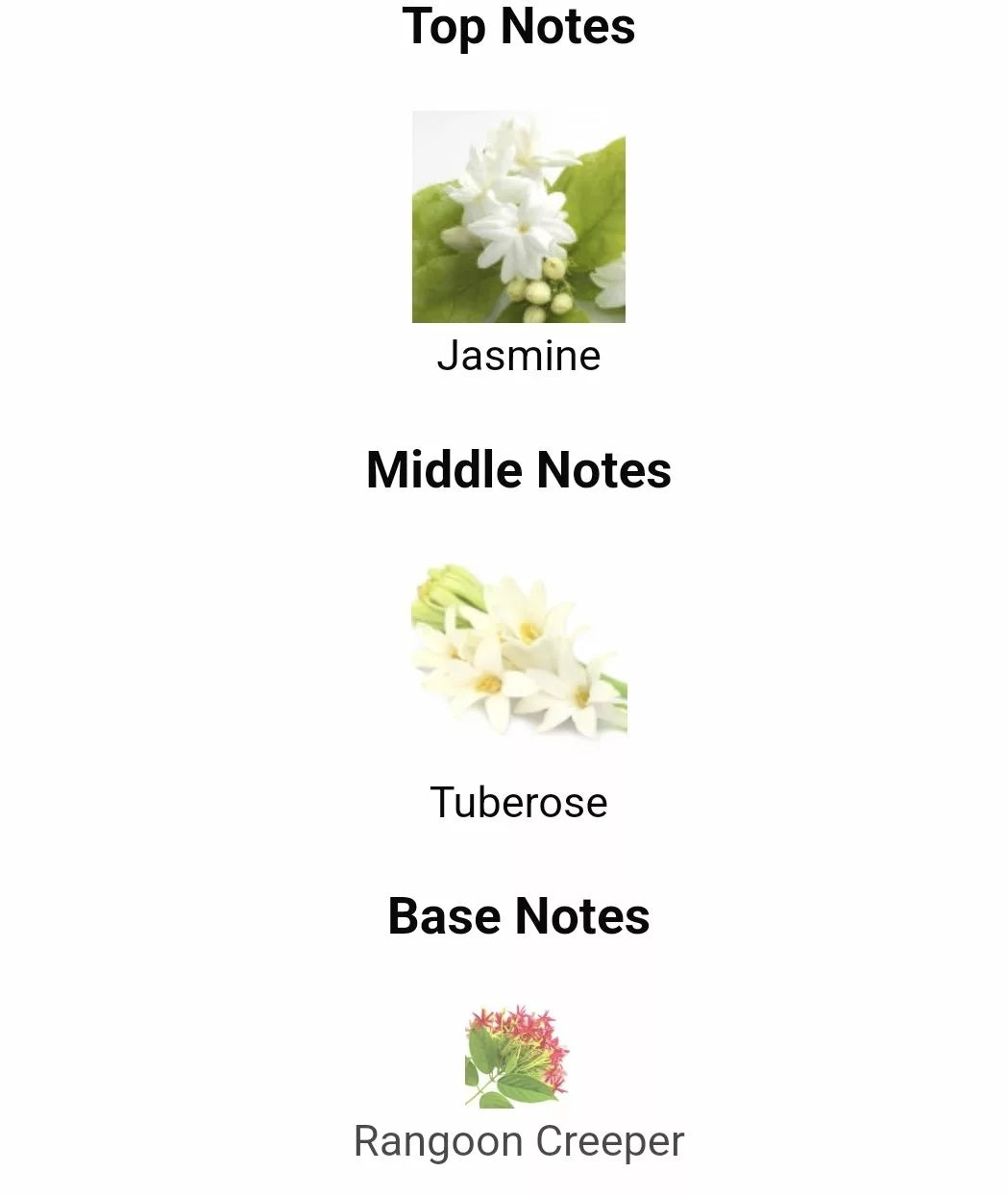 Inspired by Gucci Bloom image 1