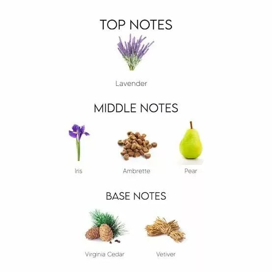 Inspired by Dior homme intense image 1