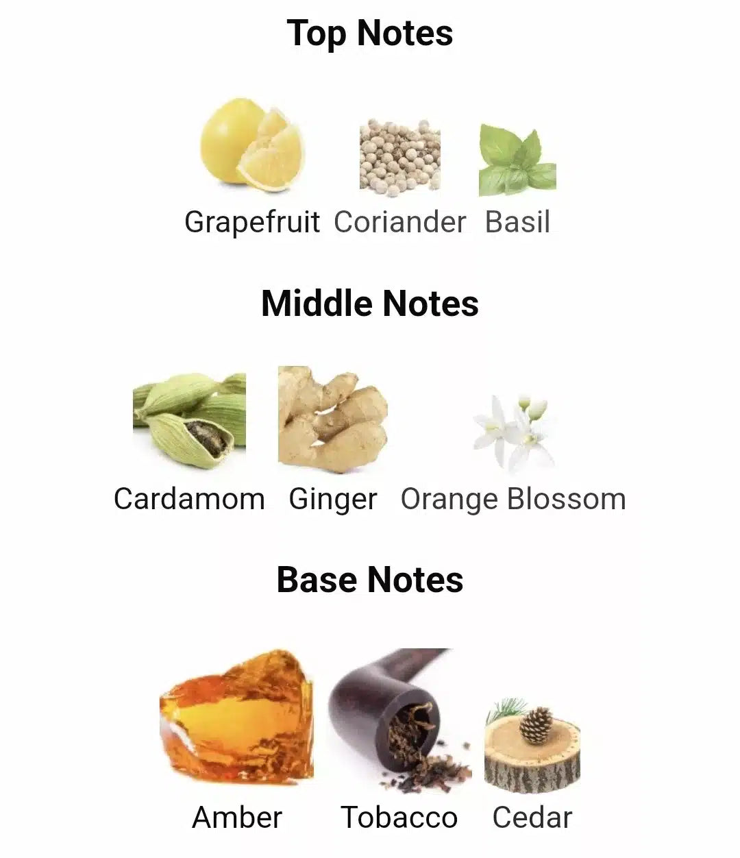 Inspired by the one image 1