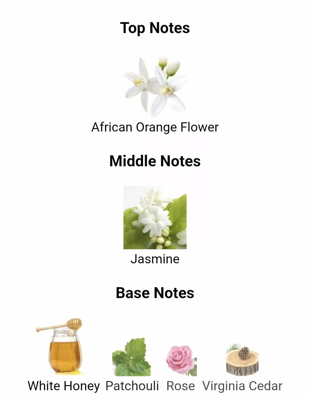 Inspired By Elie Saab image 1