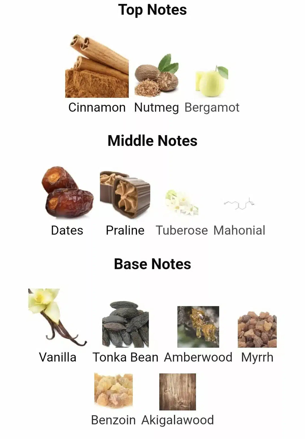 Inspired By Khamra image 1