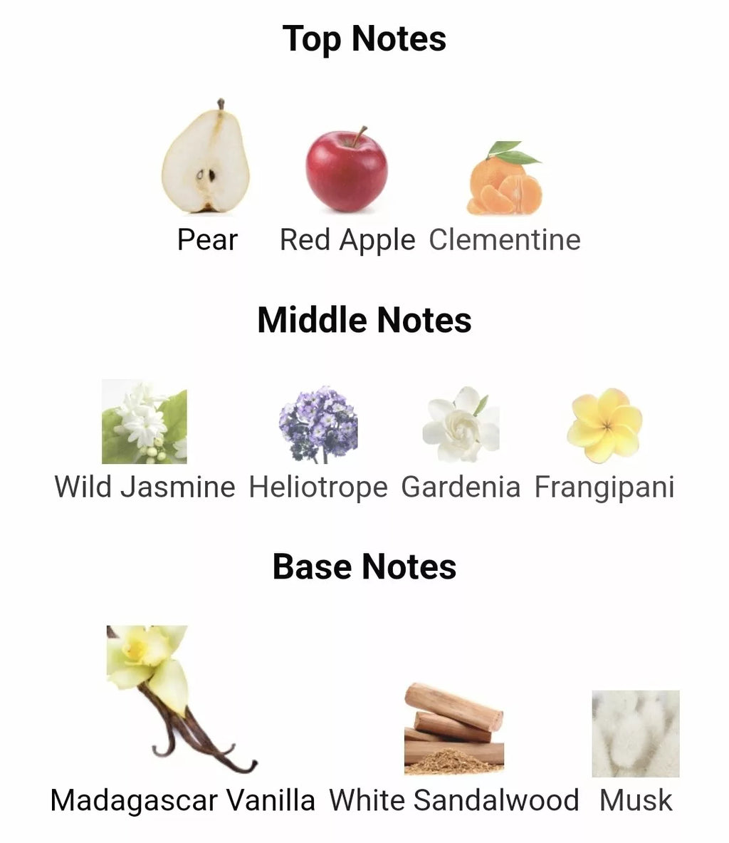 Inspired By  Wild Madagascar image 1