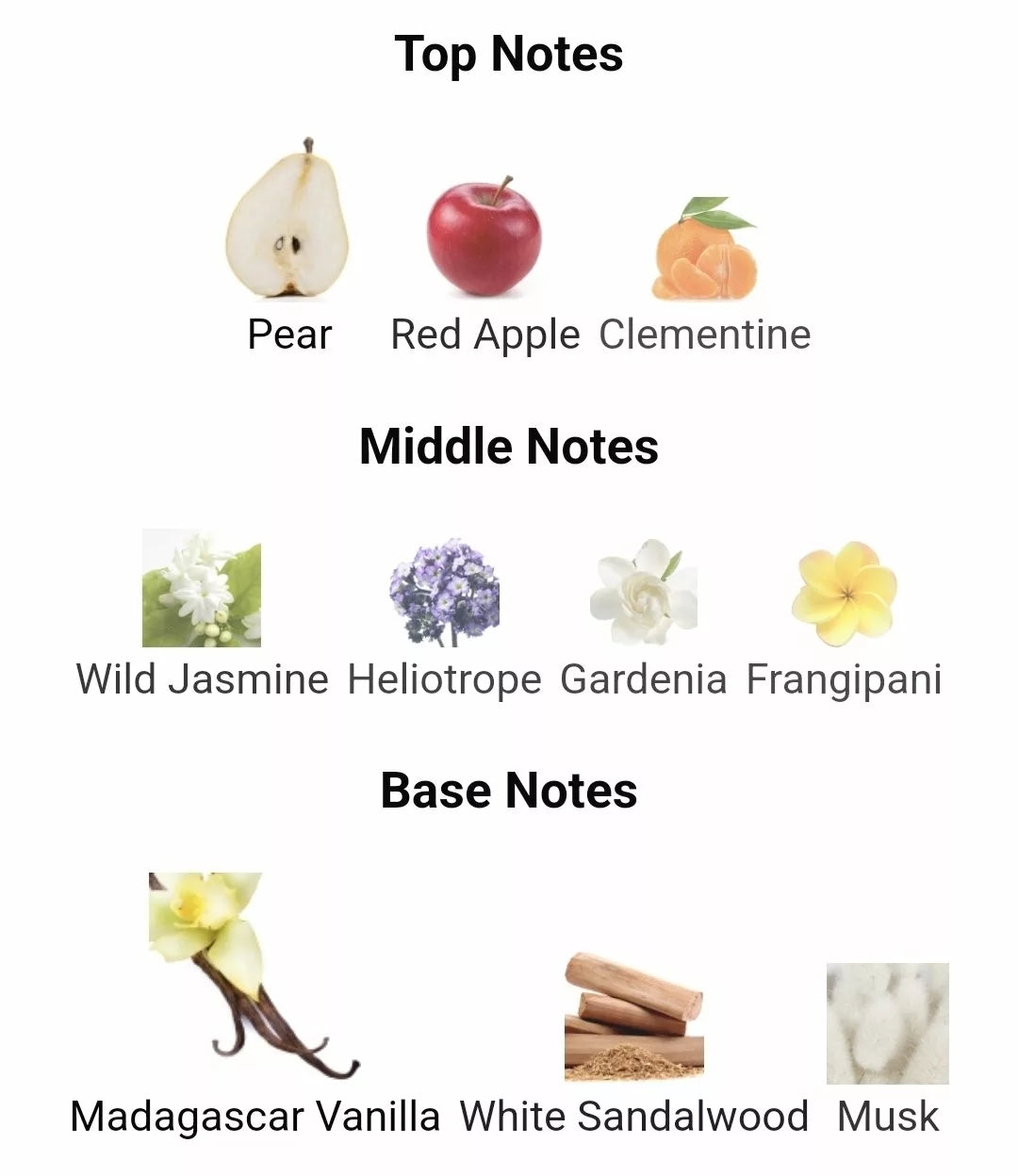 Inspired By  Wild Madagascar image 1