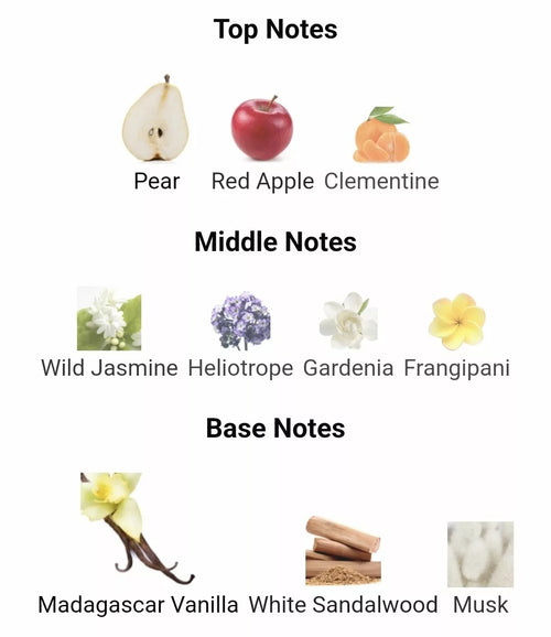 Inspired By  Wild Madagascar image 1