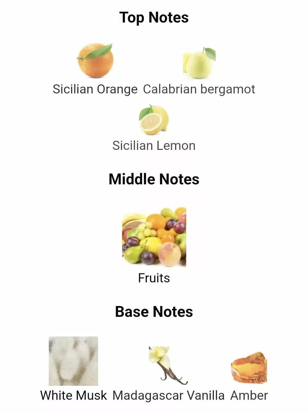 Inspired by Erba Pura image 2