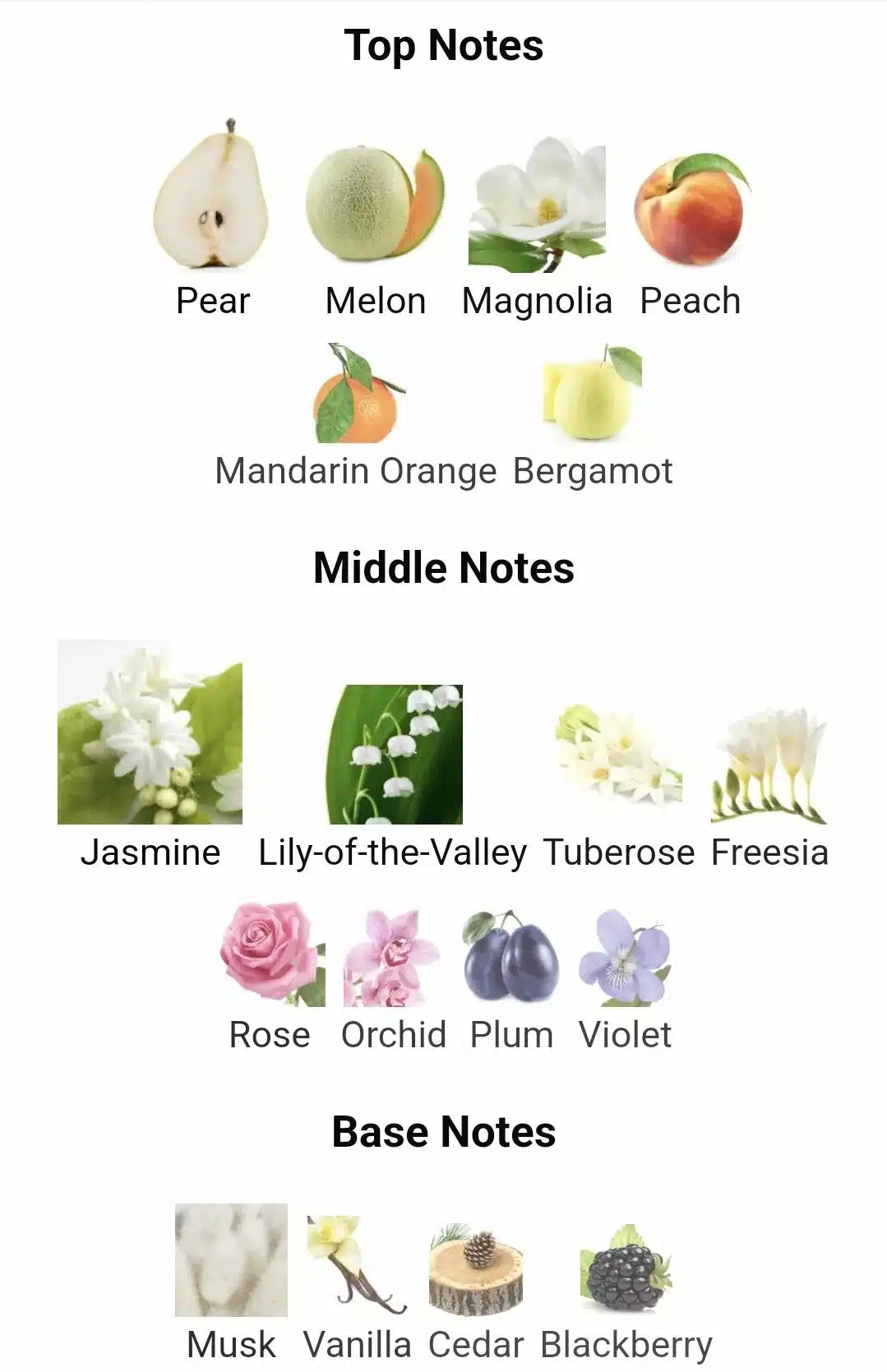 Inspired By Jadore image 1