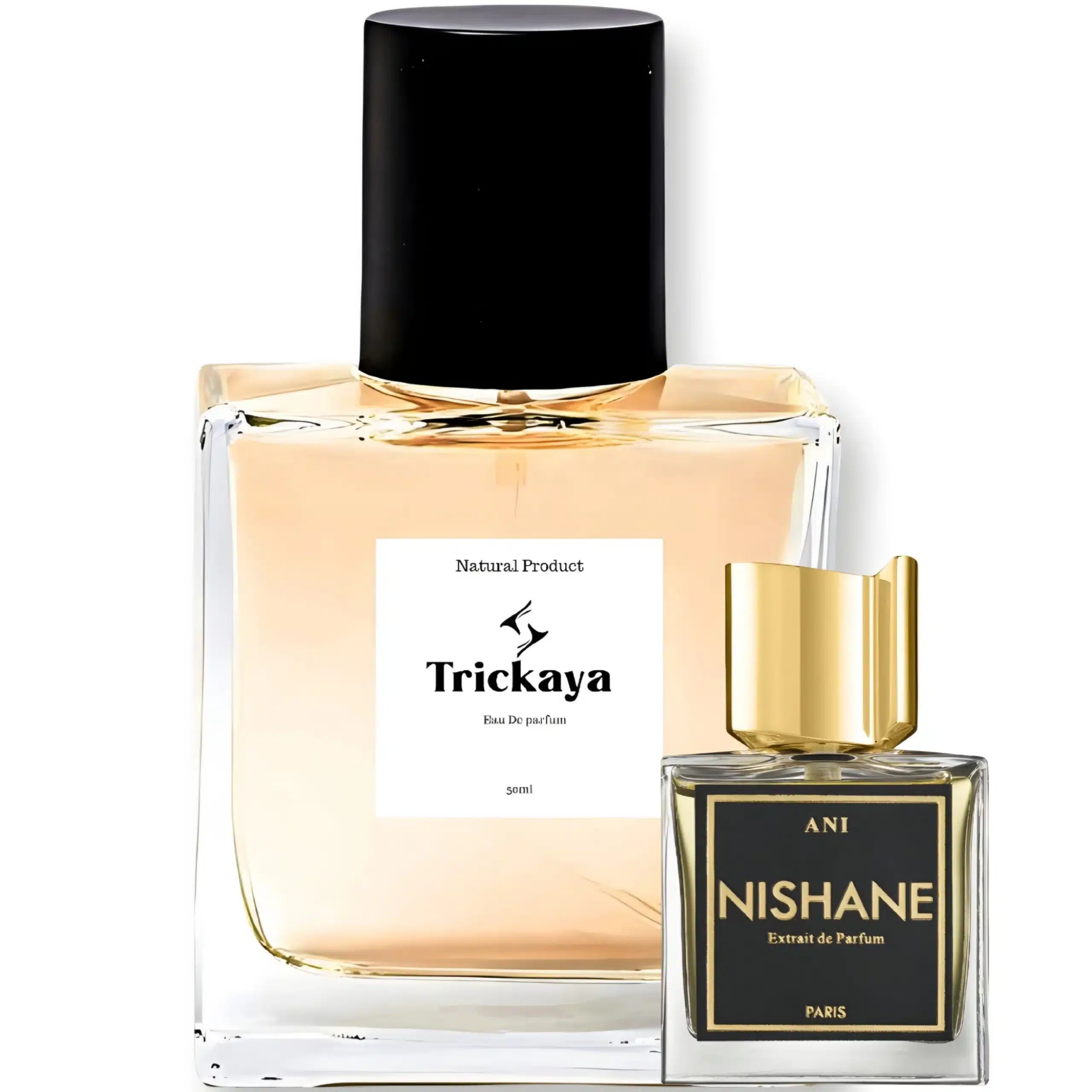 Inspired by Ani Nishane image 0