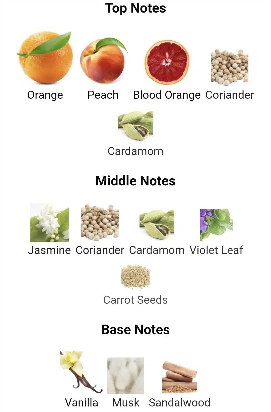 Inspired by Lacoste pink image 1