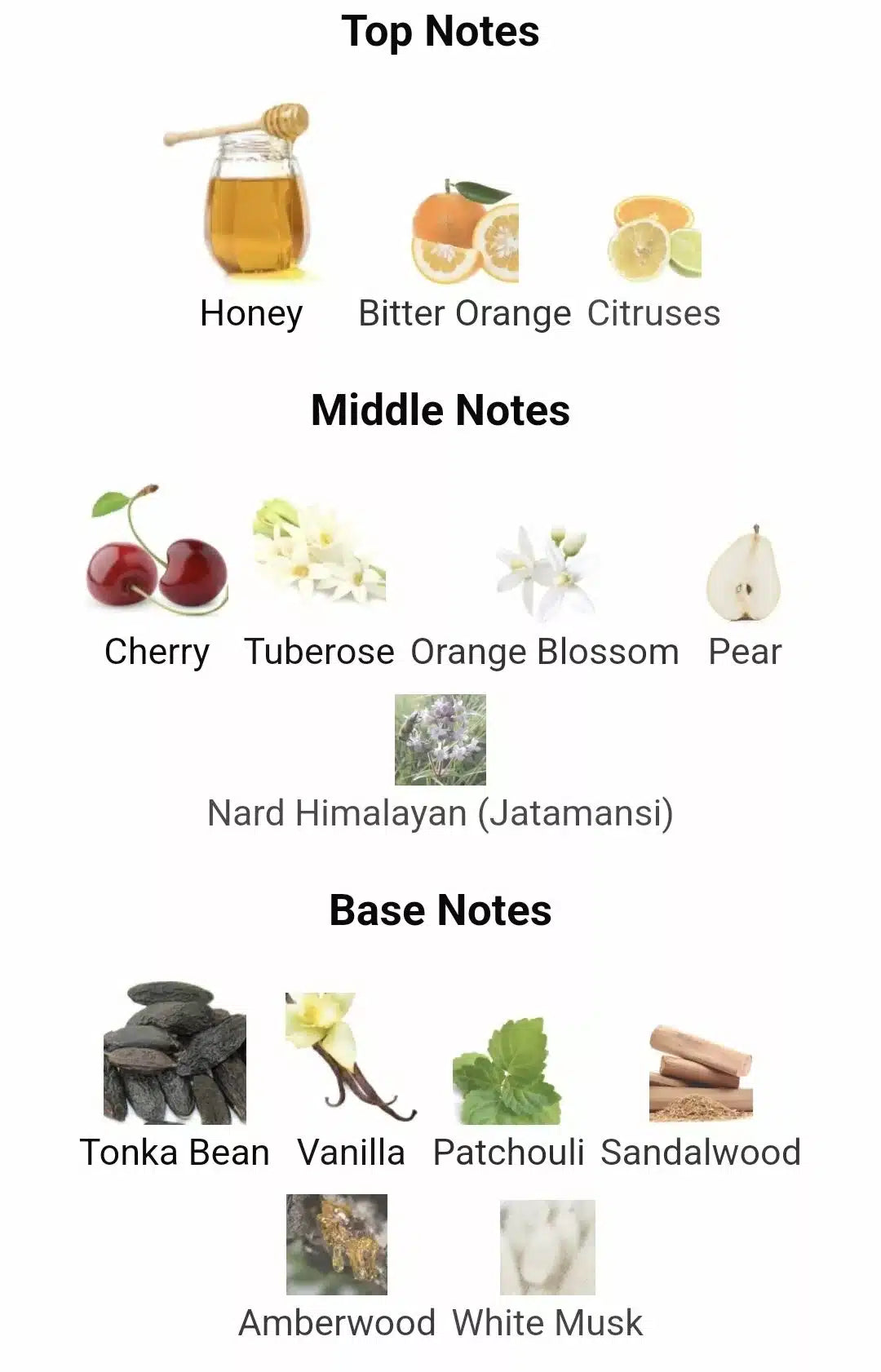 Inspired By Scandal Night image 1