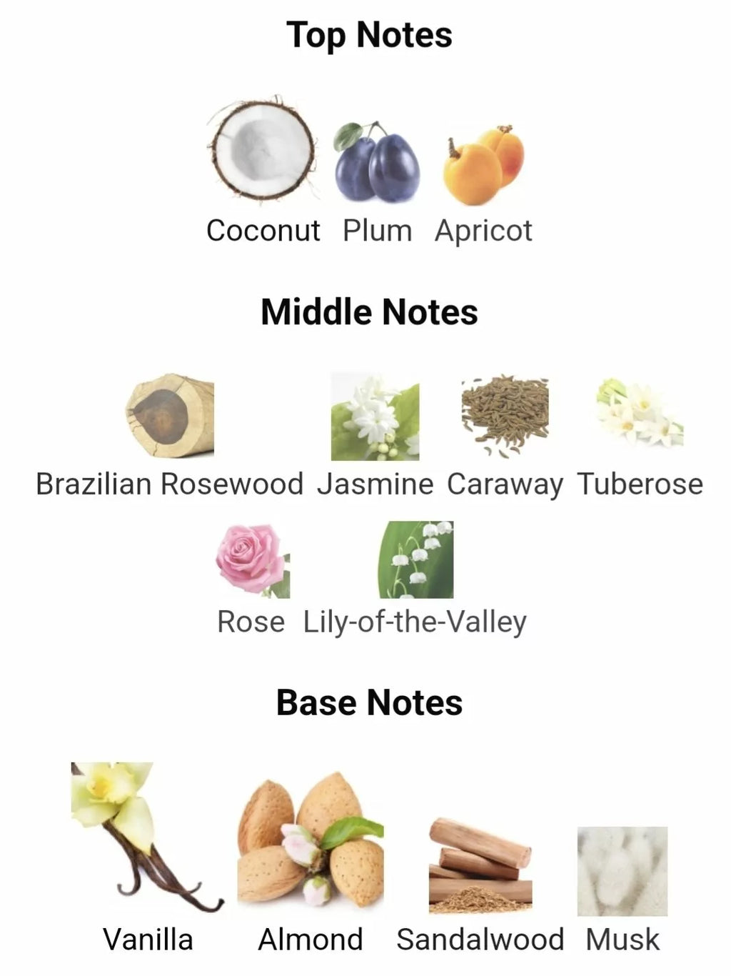 Inspired By Hypnotic poison image 2