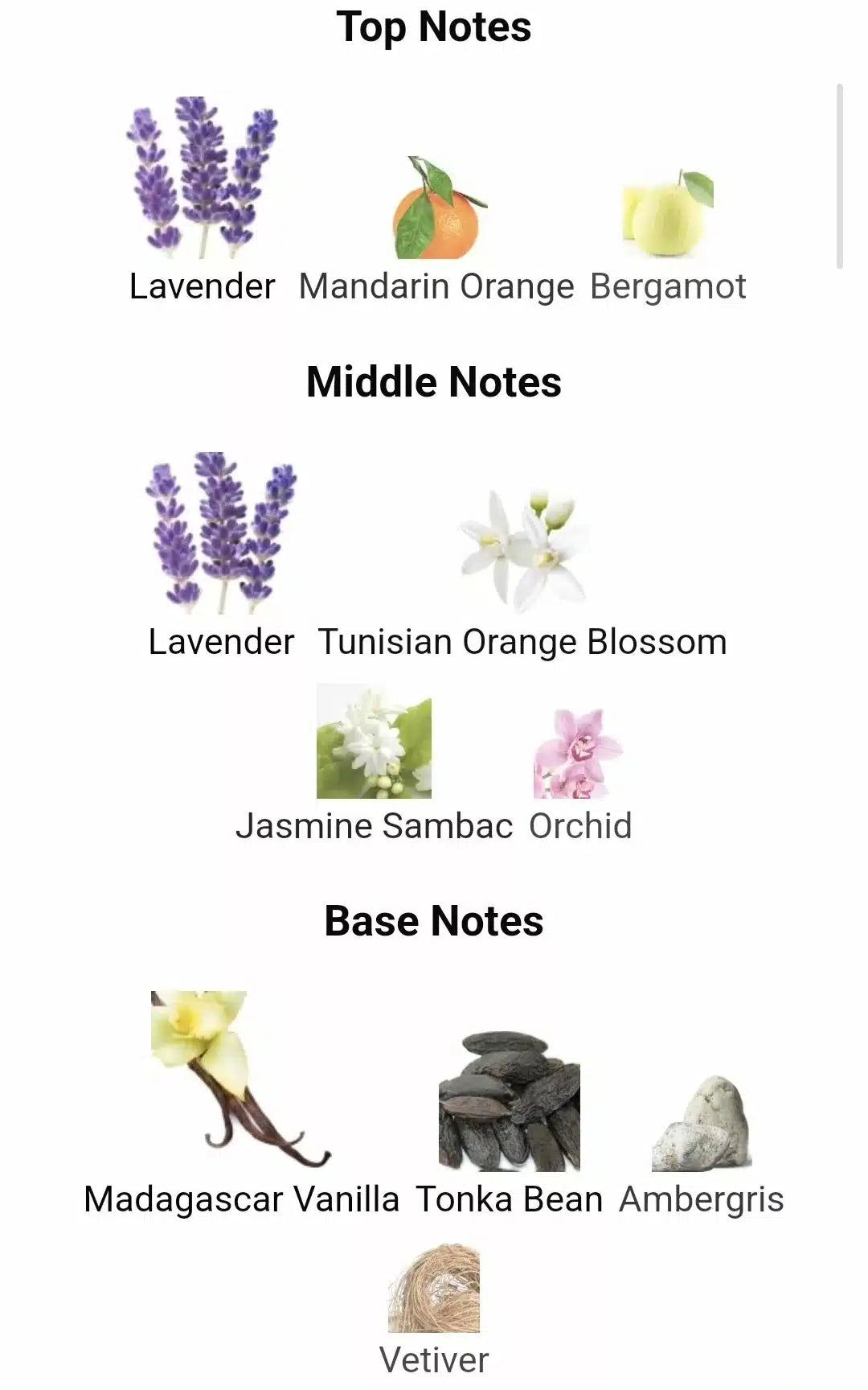 Inspired By Libre intense image 1