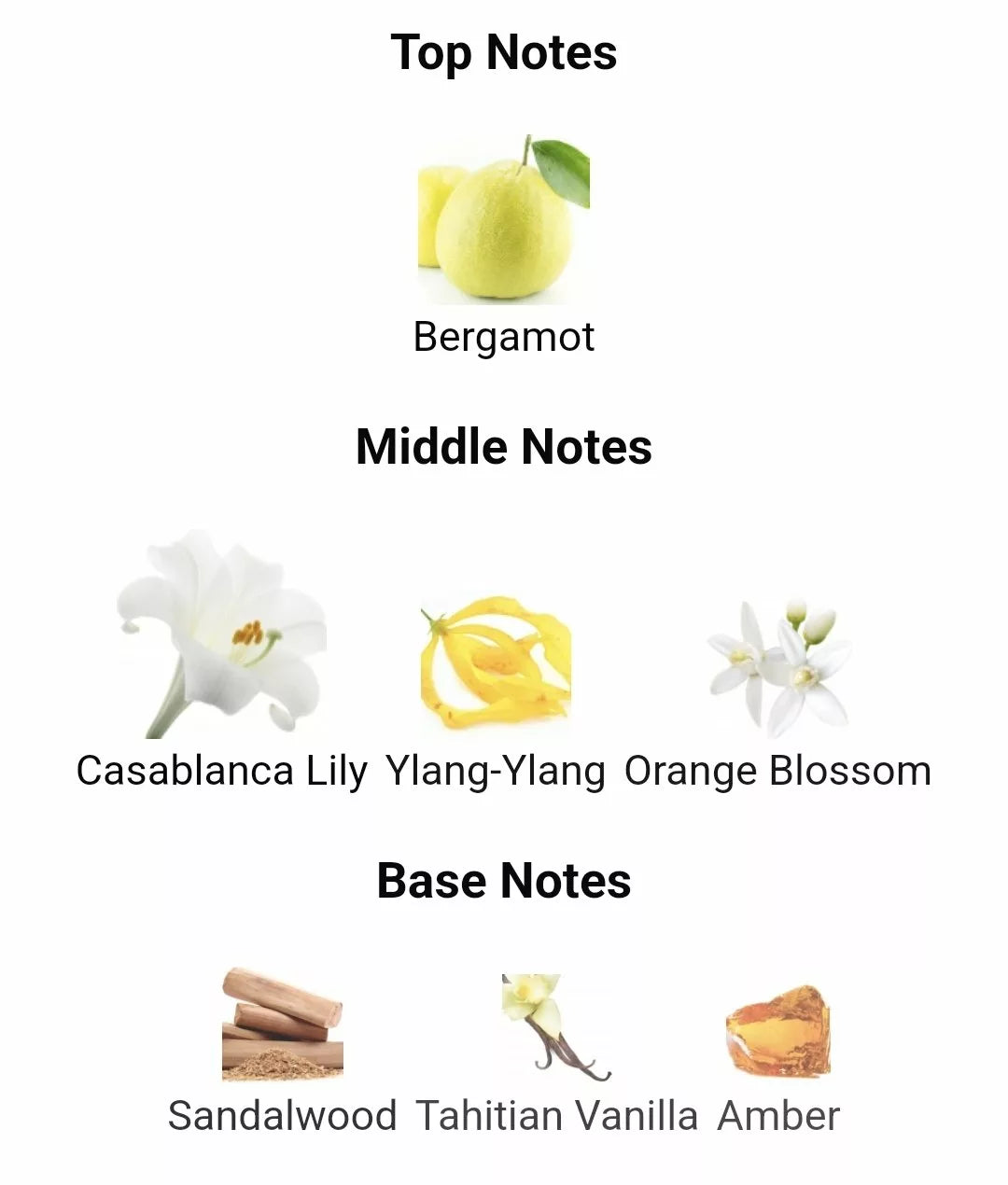 Inspired By Hugscent image 1