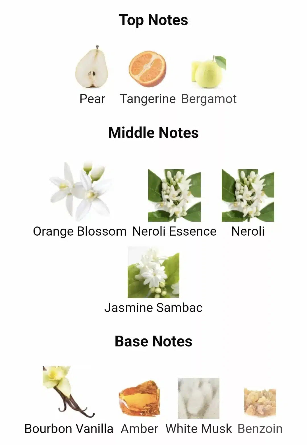 Inspired By Prada Paradoxe image 2