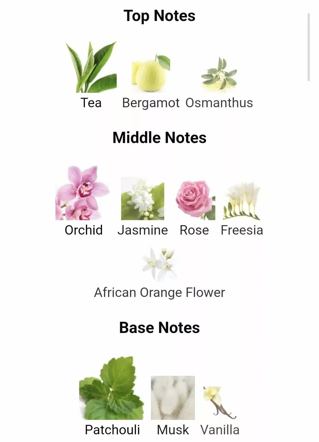 Inspired By Flower Bomb image 1