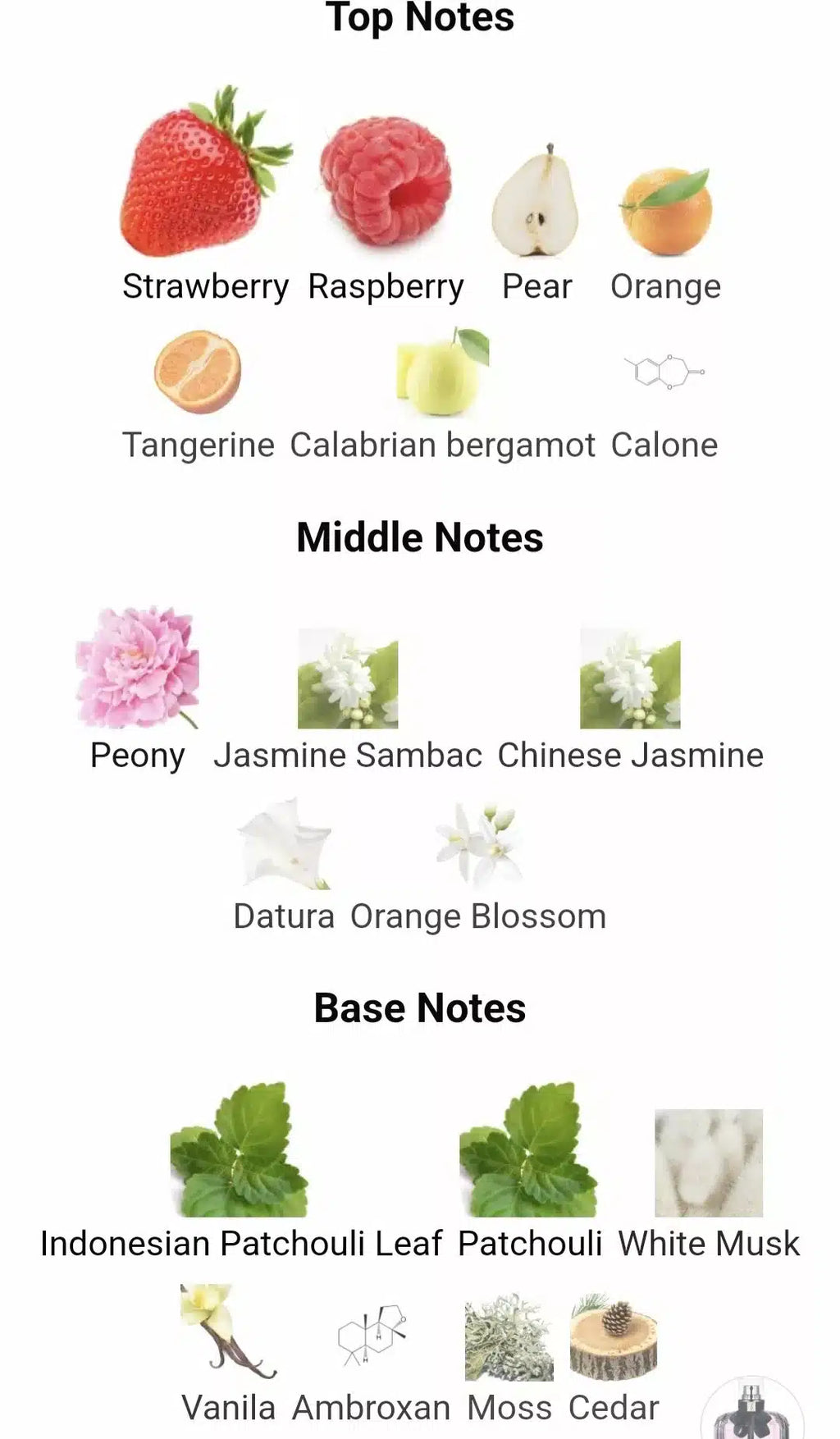 Inspired By Mon Paris image 1