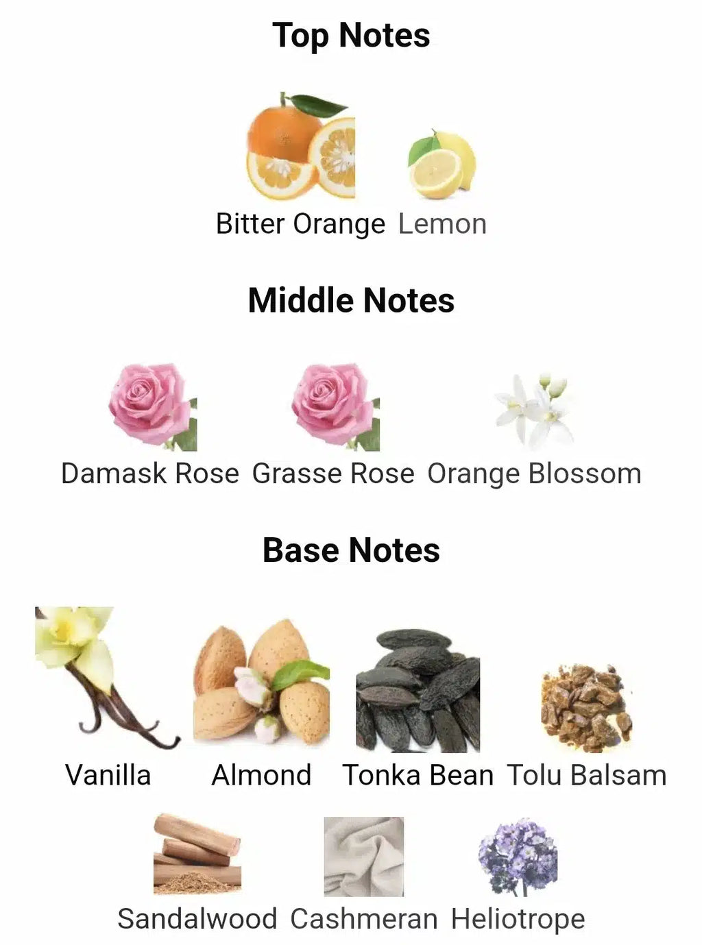 Inspired By Poison Girl image 2