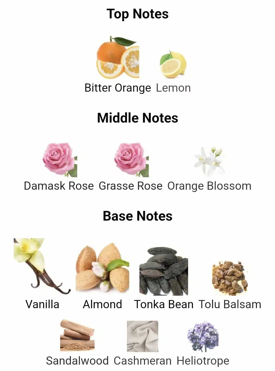 Inspired By Poison Girl image 2