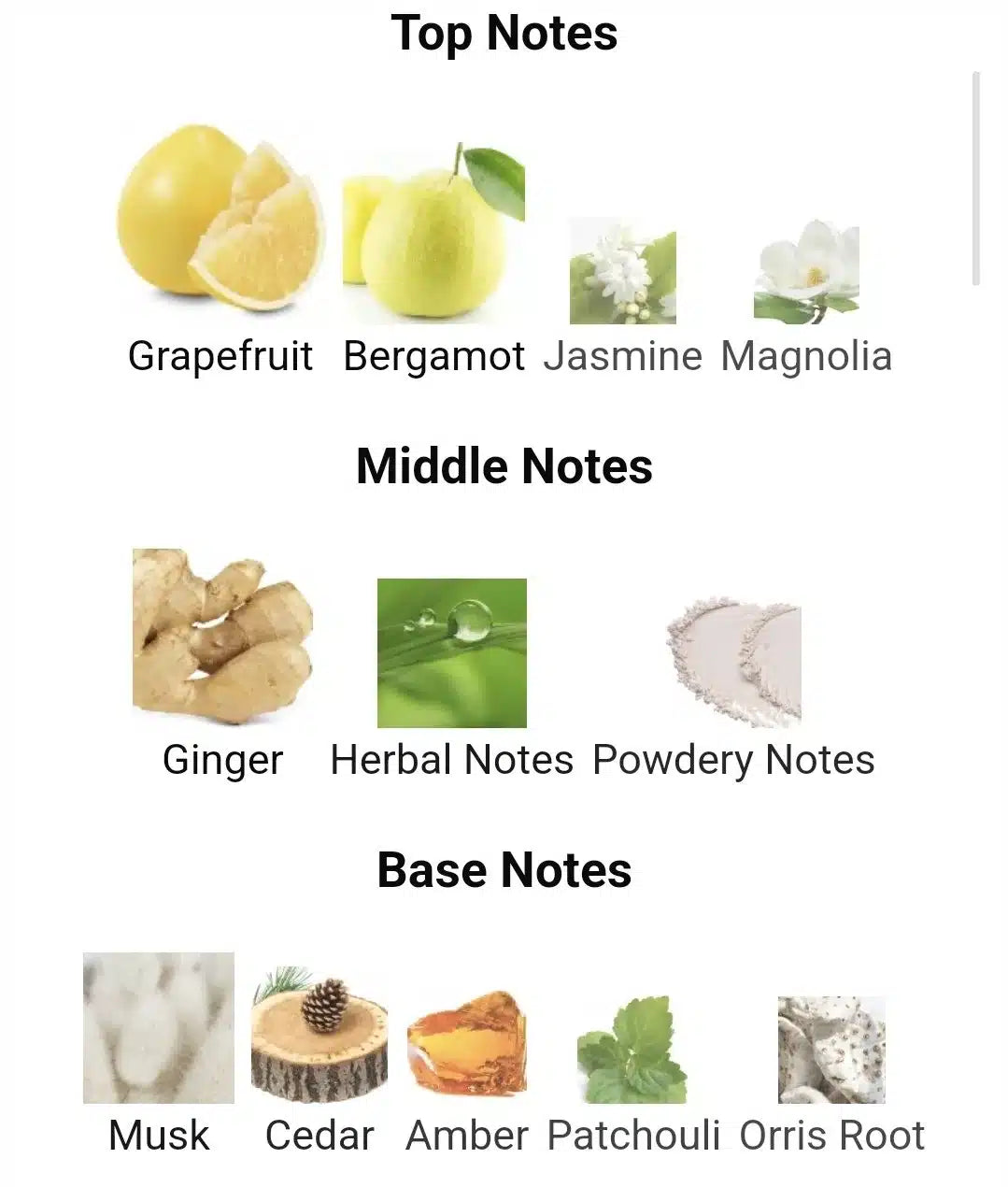 Inspired by vibrato sospiro image 2