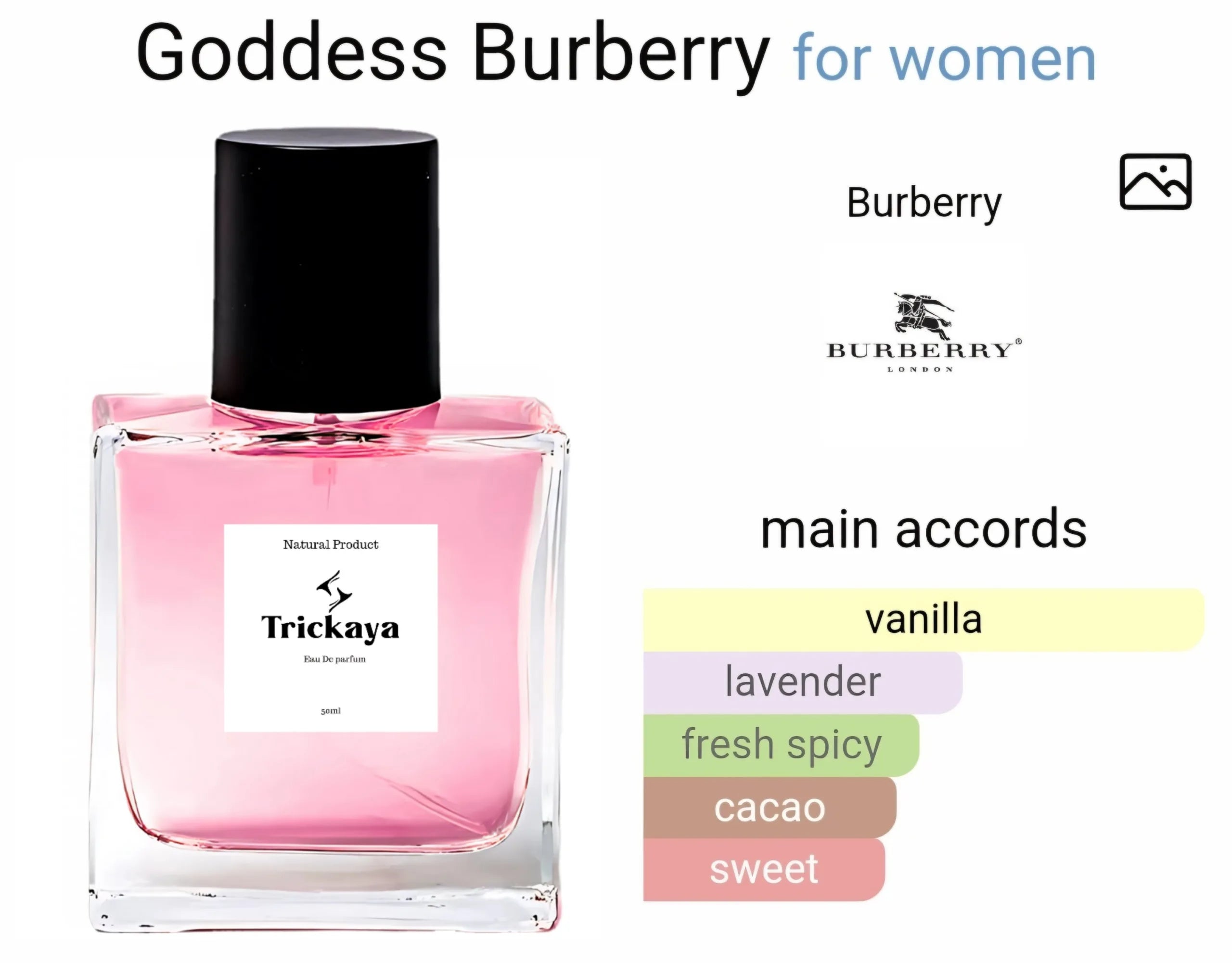 Inspired by Burberry Goddess image 1