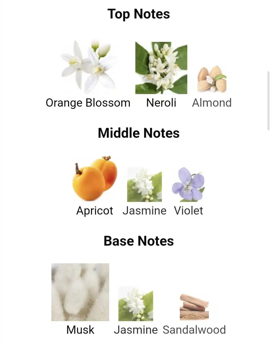 Inspired By Arrogate Pink image 2