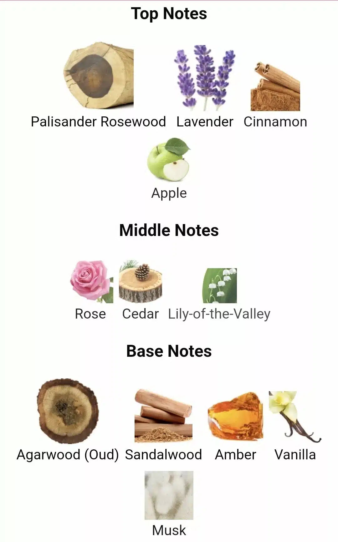 Inspired by alexandria Xerjoff image 1