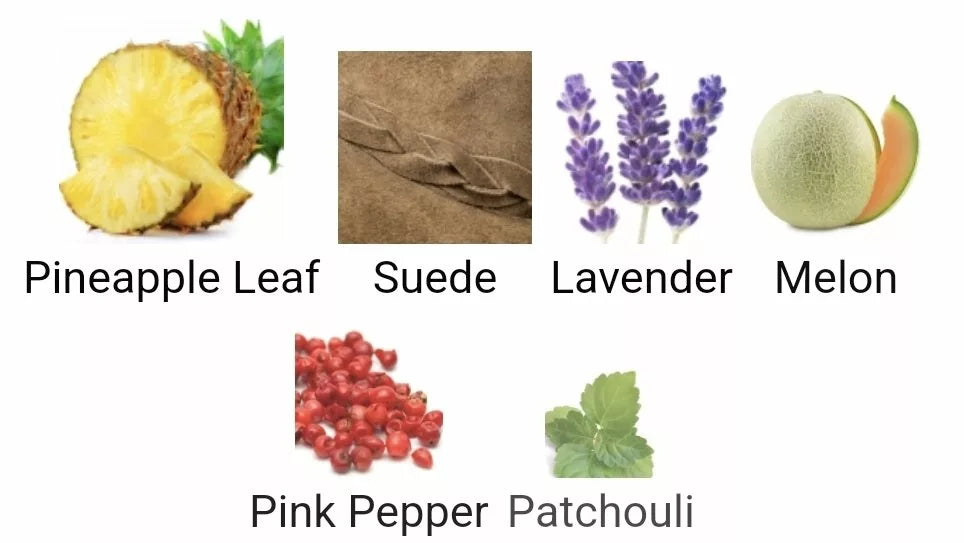 Inspired By Jimmy Choo image 1