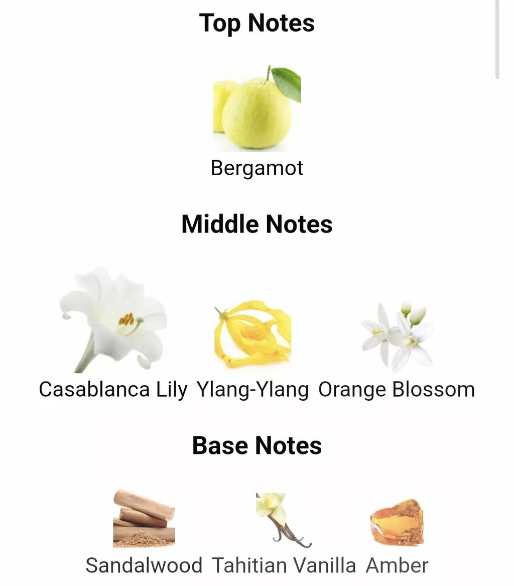 Inspired By Gucci Bamboo image 1