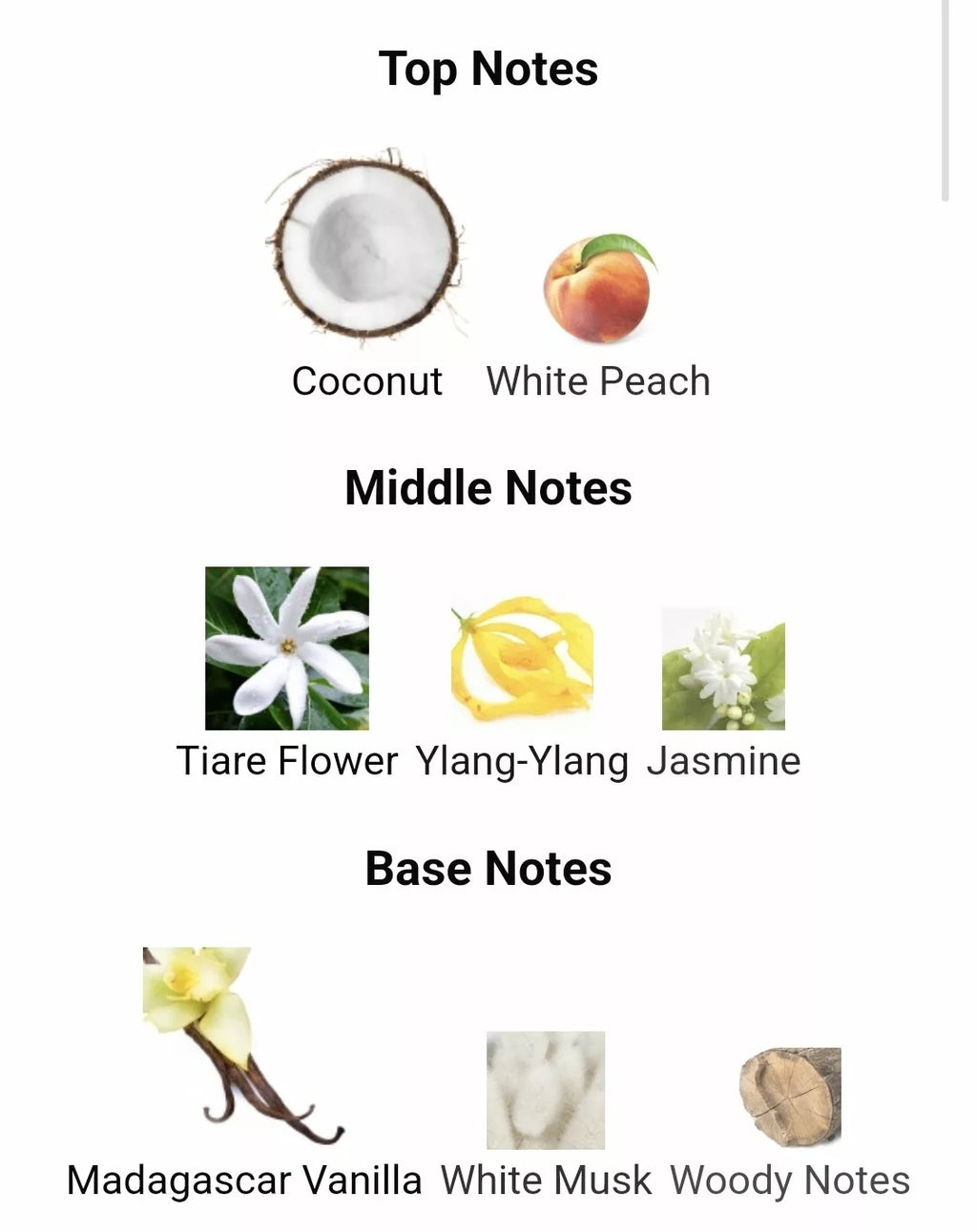 Inspired by Coco Vanilla image 1