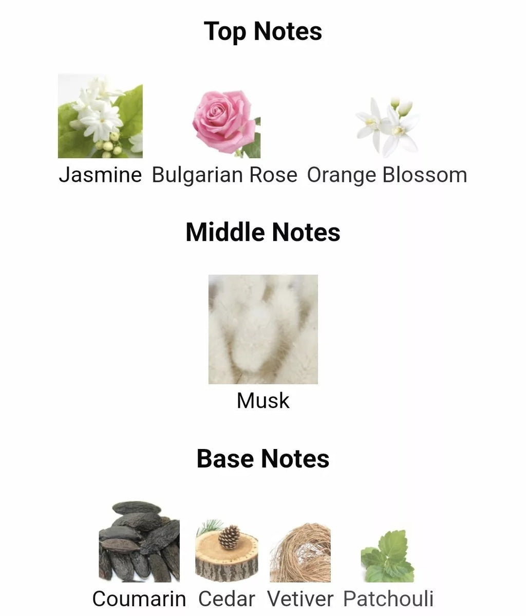 Inspired By Narciso Poudree image 2